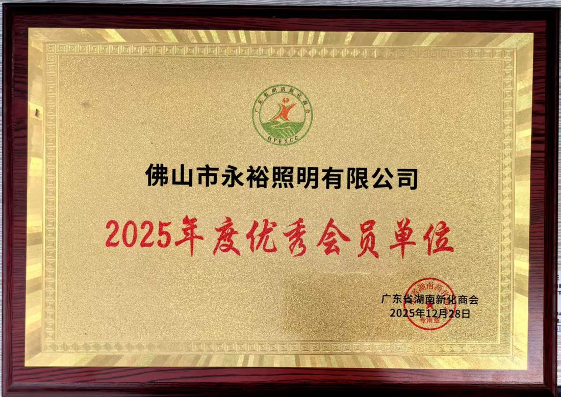 广东省湖南新化商会2025年度优秀会员单位奖牌，2025年12月28日授予佛山市永裕照明有限公司